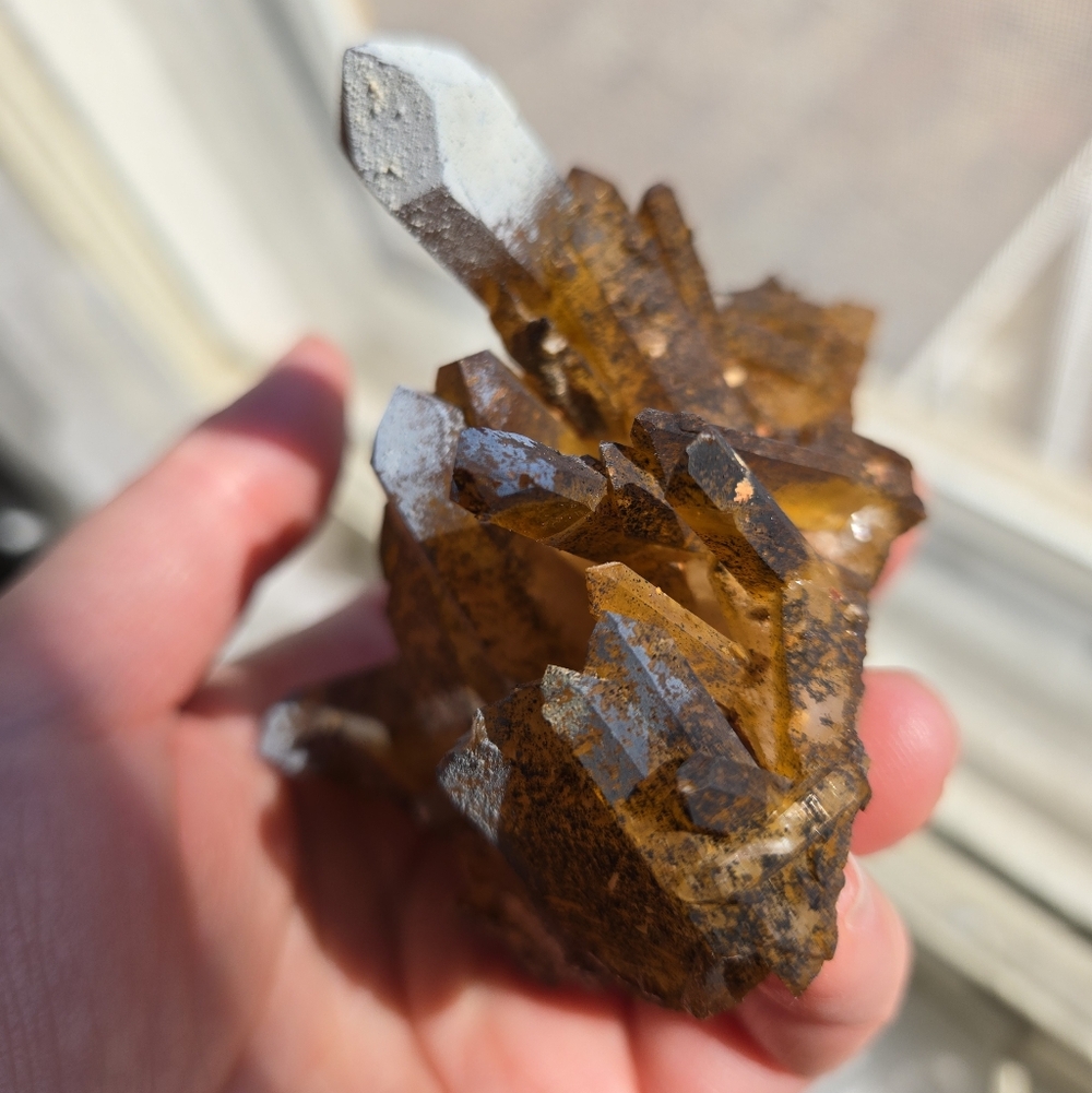 Solaris Quartz Cluster - Picture 10 of 10